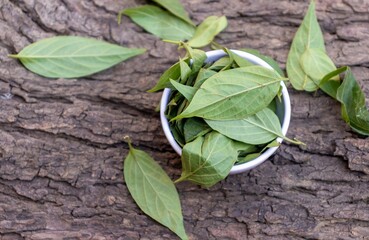 Top View of Paederia Foetida or Stinkvine Leaves Isolate in a Bowl on Wooden Background with Copy Space, Also Known as Skunkvine or Chinese Fever Vine, Selective Focus on the Paste