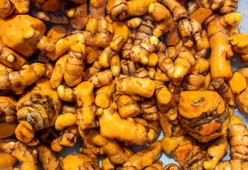 Organic Turmeric Roots with Selective Focus in Sun for Seasoning