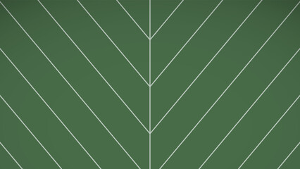 Leaf penninervis vertical background. Outline of pinnate Leaves on modern green illustration. Design for cover, banner, poster, texture, nature, related about background.