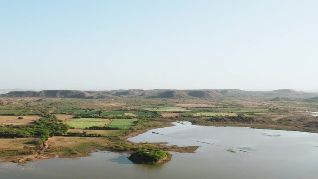 view of the green farms near river in the morning. A breathtaking aerial view of agriculture field covered with greenery near lake in Kutch, Gujarat, India. Fresh crops cultivated in farms during summ