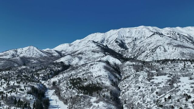 Aerial fly up mountain canyon forest winter snow. Nebo Scenic Byway, Utah, national drive for beauty and nature. Beautiful season winter snow on Wasatch mountain forest. Travel destination. Alpine wil