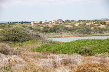 Vendicari Nature Reserve wildlife oasis