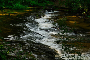 Rock thresholds on the Tanew River flowing through Roztocze
