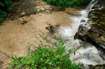 Roztocze waterfall on the river Jeleń near Susiec © barytek