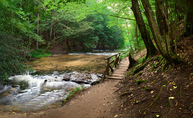 Obraz premium A footbridge over the river over the waterfalls on the Tanew River
