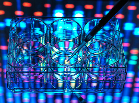 Gene research, conceptual image