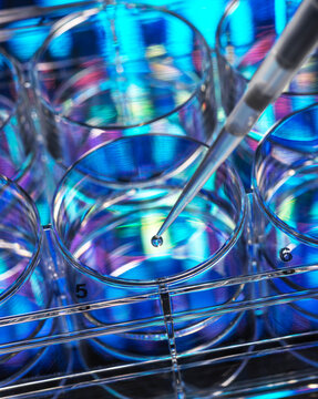 Genetic research, conceptual image