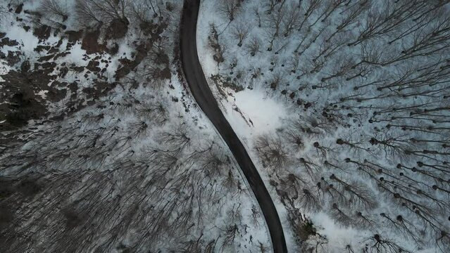 Aerial view of a serpentine road crossing a forest in wintertime with snow on Mount Terminio, Serino, Avellino, Irpinia, Campania, Italy.