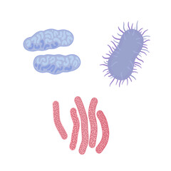Three bacteria and virus. Biology micro organisms