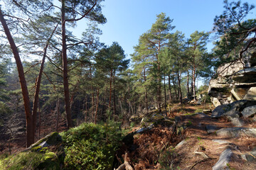 Boulders of the Demoiselles rock in fontainebleau forest