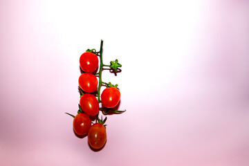 bunch of cherry tomatoes on a pink background