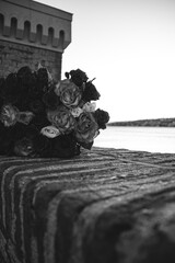Le rose 