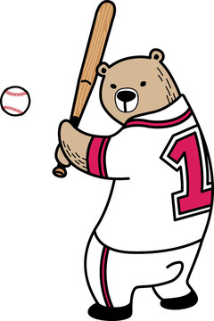bear polar baseball cartoon character teddy sport