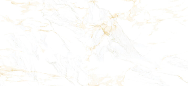 Vector gold marble realistic texture pattern background. Luxury white
