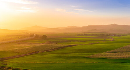 green field in countryside at sunset in the evening light. beautiful spring landscape in the mountains. grassy field and hills. rural scenery