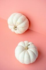 White pumpkins on pink. Autumnal or Halloween concept.