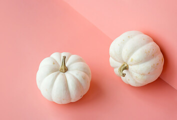 White pumpkins on pink. Autumnal or Halloween concept.