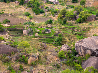 Challenging trek in the mountains, full of rocks. Andringitra National Park. Madagascar.