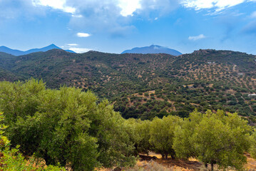 Dorf Mochlos im Regionalbezirk Lasithi, Kreta (Greichenland) 