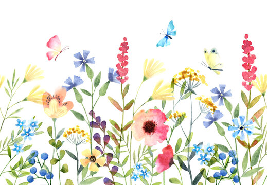 Floral seamless border of wildflowers, herbs, and butterflies on a white background. Hand drew watercolor