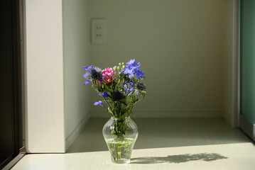 ベランダで日を浴びる花