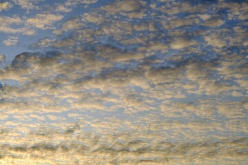 Beautiful cirrus clouds against the blue sky, Pattern of clouds in the blue sky, blue sky with cloud. high
