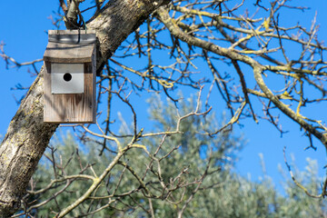 Man-made bird's nest in the tree in the Portuguese quarter.