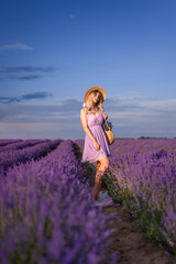 Fototapeta na wymiar beautiful young woman in a hat and a short lilac dress stands in a field of lavender