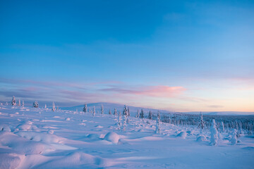Evening colors at the fjeld