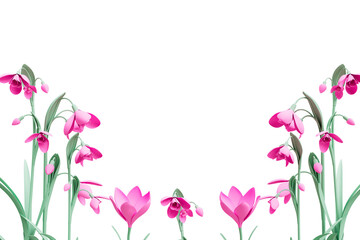 Obraz na płótnie Canvas Spring concept pink floral banner cutout
