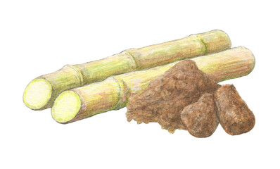 サトウキビと黒砂糖　水彩色鉛筆イラスト