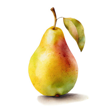 Beautiful ripe yellow pear isolated on white background. Watercolor illustration