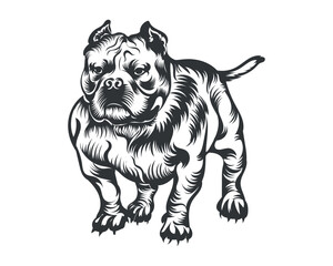 American Bully Dog Vector Illustration, Bully Dog Vector Black on White Background