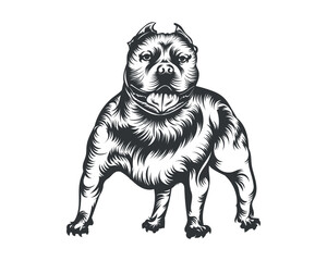 American Bully Dog Vector Illustration, Bully Dog Vector Black on White Background