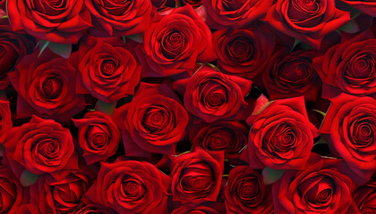 Background of lots of red roses