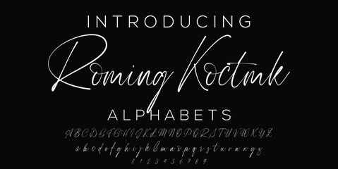 Signature Font Calligraphy Logotype Script Brush Font Type Font lettering handwritten