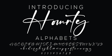 Signature Font Calligraphy Logotype Script Brush Font Type Font lettering handwritten