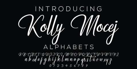 Signature Font Calligraphy Logotype Script Brush Font Type Font lettering handwritten