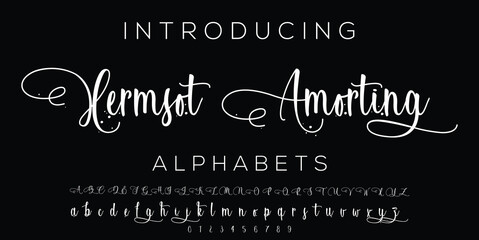 Signature Font Calligraphy Logotype Script Brush Font Type Font lettering handwritten