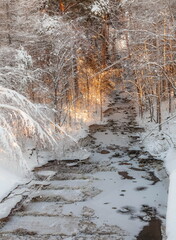 Winter landscape with snow-covered forest, river