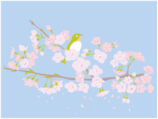 桜とメジロのイラスト