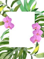 Banner tropical leaves and branches isolated on white background. Illustration for design wedding invitations, greeting cards, postcards. Spring or summer flowers with space for your text