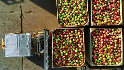 close-up, aero top view. wooden containers, boxes filled to the top with ripe red and green...