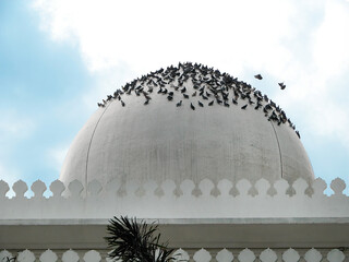 Low angle view, Flocks of pigeons, doves perched on the big mosque dome, color contrast, grey sky white clouds background Kowloon Island