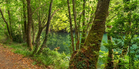 Fragas do Eume Natural Park, Pontedeume, La CoruÃ±a, Galicia, Spain, Europe