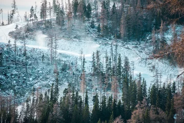 Foto auf Acrylglas Wald im Nebel Poprad, Slovakia-December 01 2019 Strbske pleso ( Strbske lake ski resort in winter with snow.
