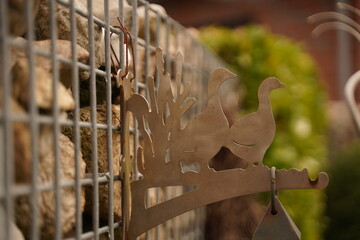 A ridiculous hanger on the fence in the form of walking geese or ducks. DIY