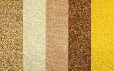 Fototapeta premium Various grain cereals banner, top view, pearl barley and white rice, wheat grits and brown buckwheat, millet