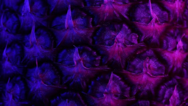 A cinematic video wallpaper featuring a close-up of rotating pineapple peel background, illuminated by blue and purple lights in a dark style.