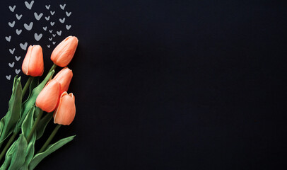 fresh tulip flowers on a dark background, space for text or advertising